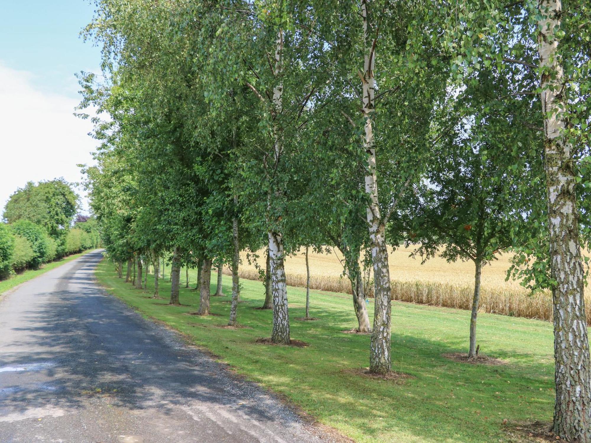 Cornfield Villa Норталeртън Екстериор снимка